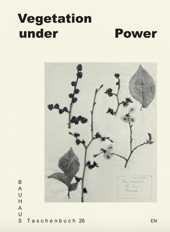 Vegetation under Power