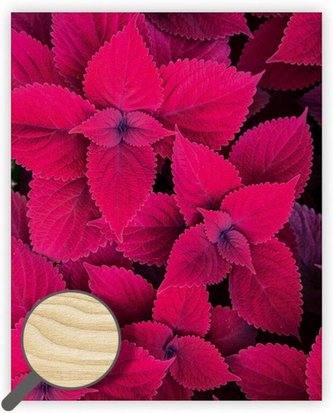 Obraz dřevěný: Leaves, 450x520