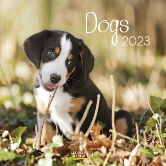 Dogs 2023