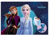 PODLOŽKA FROZEN