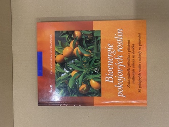 Bioenergie pokojových rostlin