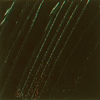 Olejová barva Pébéo XL 200ml – 29 raw umber