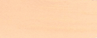 Kvašová barva Renesans 20ml – 05 Tělová