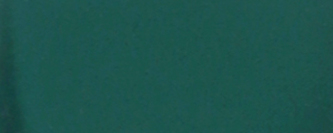 Tempera Renesans 100ml – Zeleň Hooker 14