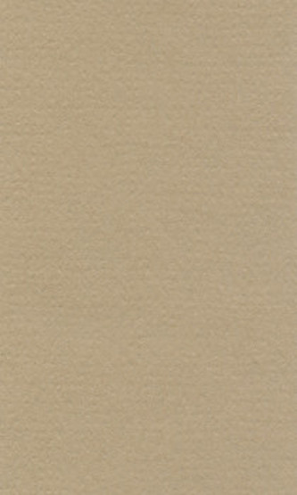Barevný papír Lana 70x100cm - 18 oyster
