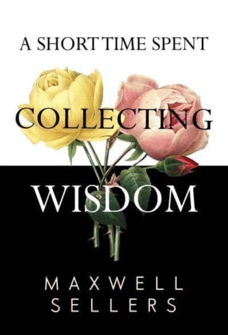 A Short Time Spent Collecting Wisdom