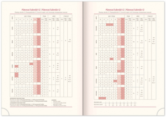 Týdenní diář Silhouette 2023 stříbrný