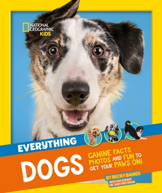 Everything: Dogs Everything: Dogs