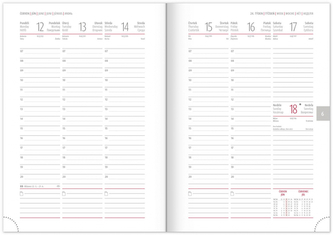 Týdenní diář Vivella Fun 2023 stříbrný