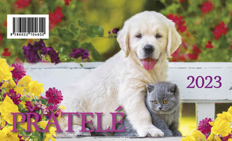 Kalendář 2023 Přátelé, stolní