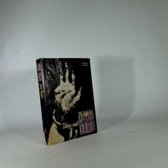 Stíny nad Notre Dame