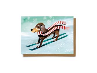 Chaukiss Vánoční jezevčík