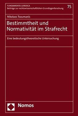 Bestimmtheit und Normativität im Strafrecht
