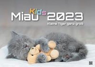 Miau Kids - kleine Tiger ganz groß - Der Katzenkalender - 2022 - Kalender DIN A2