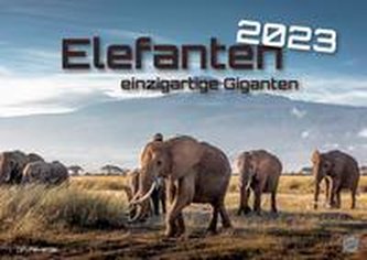 Elefanten - einzigartige Giganten - 2023 - Kalender DIN A2