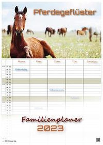 Pferdegeflüster - Der Pferdekalender - 2023 - Kalender DIN A3 - (Familienplaner)
