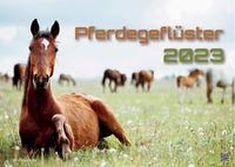 Pferdegeflüster - Der Pferdekalender - 2023 - Kalender DIN A3