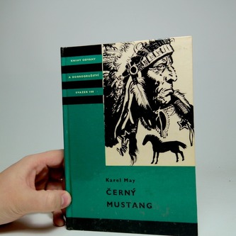 Černý mustang