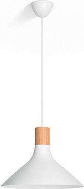 ZÁVĚSNÉ SVÍTIDLO 40954/31/PN