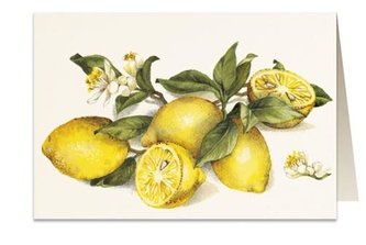 Karnet B6 + koperta 8903 Cytryna