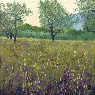 Karnet z kopertą Drzewa oliwne