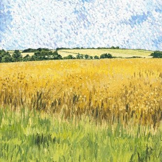 Karnet z kopertą Letnie pola