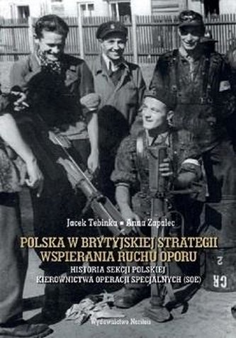 Polska w brytyjskiej strategii wspierania ruchu.. Polska w brytyjskiej strategii wspierania ruchu..