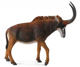 Antylopa gigant sable samica Antylopa gigant sable samica