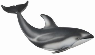 Delfin Pacyfic Delfin Pacyfic