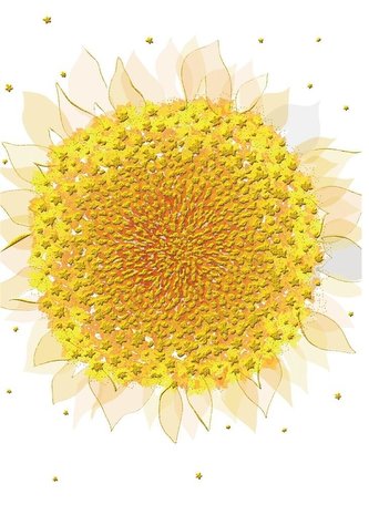 Karnet B6 + koperta MO5516W Słonecznik