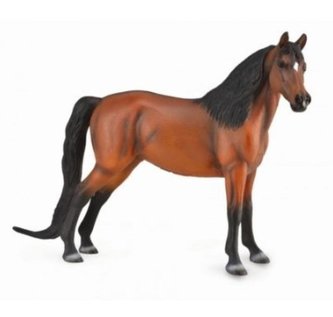 Morgan Bay Deluxe Morgan Bay Deluxe