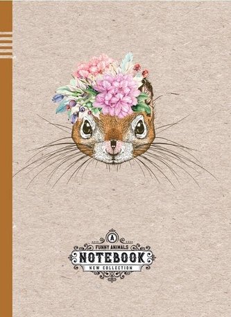 Notatnik ozdobny 145x197/64K kratka TW Wiewiórka
