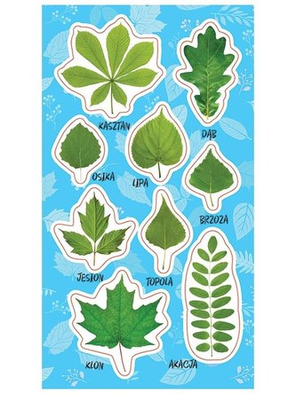 Naklejki Wiosenne liście
