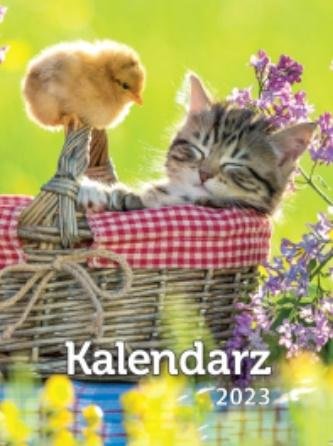 Kalendarz 2023 A6 Zdzierak MIX ARTSEZON Kalendarz 2023 A6 Zdzierak MIX ARTSEZON
