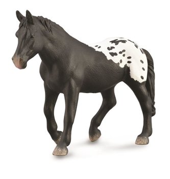 Klacz Sugarbush Draft Klacz Sugarbush Draft