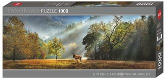 Puzzle 1000 Jeleń o poranku