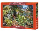 Puzzle 2000 Z lasu w Rusland CASTOR