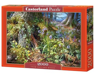 Puzzle 2000 Z lasu w Rusland CASTOR