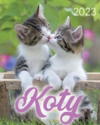 Kalendarz 2023 B4 Koty ARTSEZON Kalendarz 2023 B4 Koty ARTSEZON