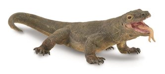 Waran z komodo Waran z komodo