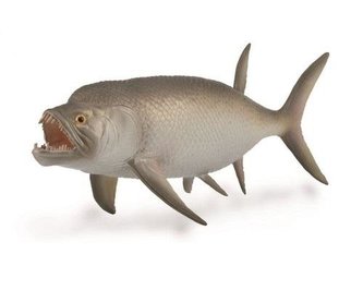 Wymarła ryba Xiphactinus Wymarła ryba Xiphactinus
