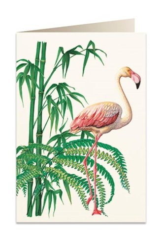 Karnet B6 + koperta 5929 Flaming