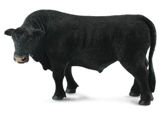 Byk czarny angus Byk czarny angus