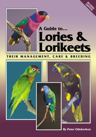 Lories and Lorikeets Lories and Lorikeets