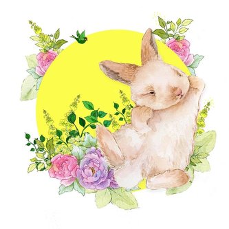 Karnet Swarovski kwadrat CL2009 Królik