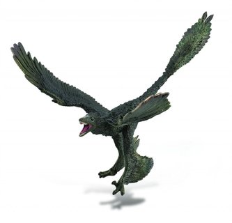 Dinozaur Microraptor Dinozaur Microraptor