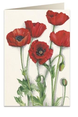 Karnet B6 + koperta 7519 Maki