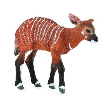 Krowa Bongo Krowa Bongo