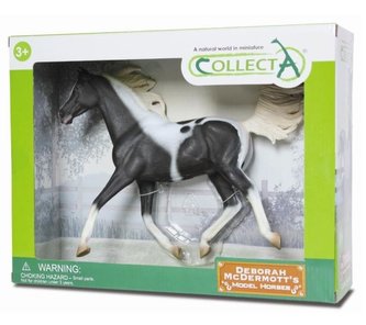 Ogier rasy Półarabskiej-Pinto