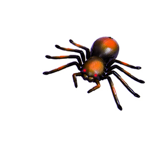 WILDROID - Tarantule R/C, krabice